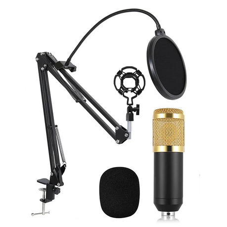 Mic Kit for Studio Recording and Podcast_2