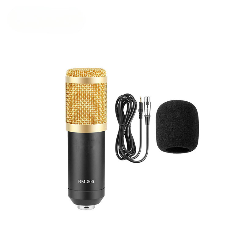 Professional Condenser Studio Microphone ST-225