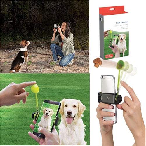 Pet-Ture Perfect Treat Launcher ZADropship Pet-Ture_Perfect_Treat_Launcher_-_Goodie_hut_-_-4034086