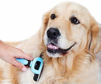 Pet Grooming Brush ZADropship Pet_Grooming_Brush_-_Goodie_hut_-_-4034074