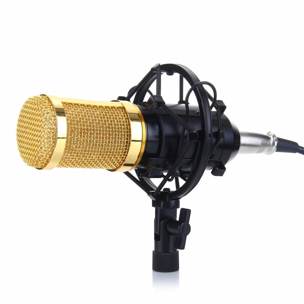 Professional Condenser Studio Microphone ST-225